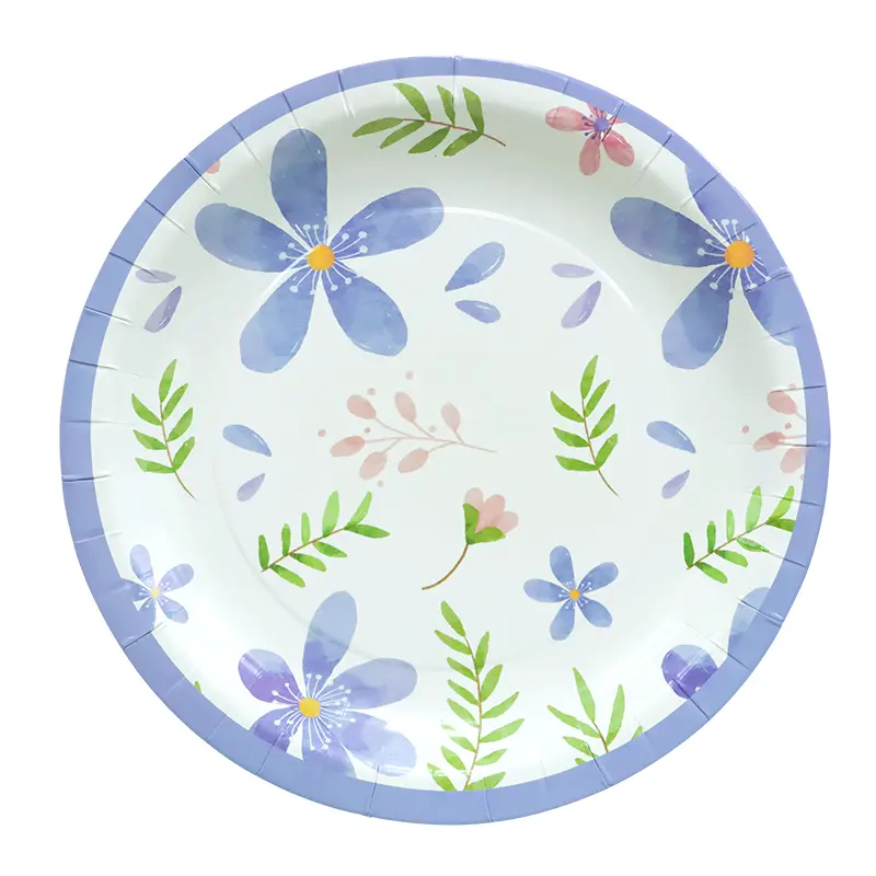 Assiettes en papier 10 pouces 12 pièces