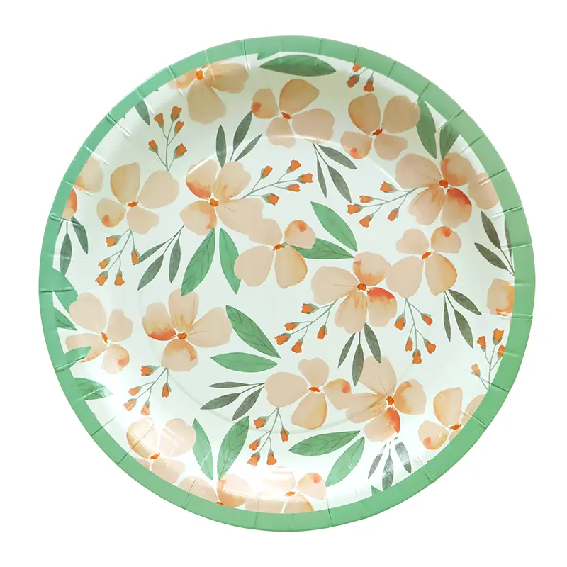 Assiettes en papier 10 pouces 38CT