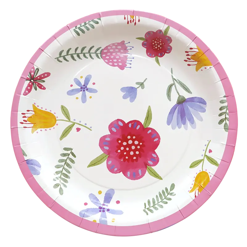 assiettes en papier 270g