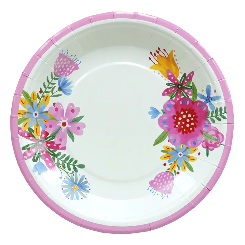 Assiettes en papier 8,5 pouces 12 pièces