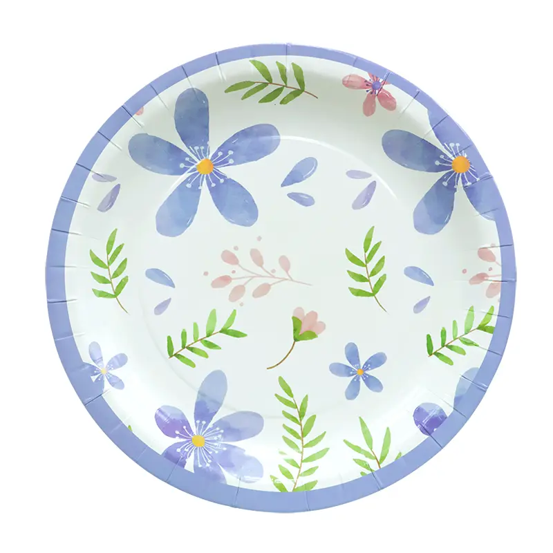 Assiettes En Carton Anniversaire
