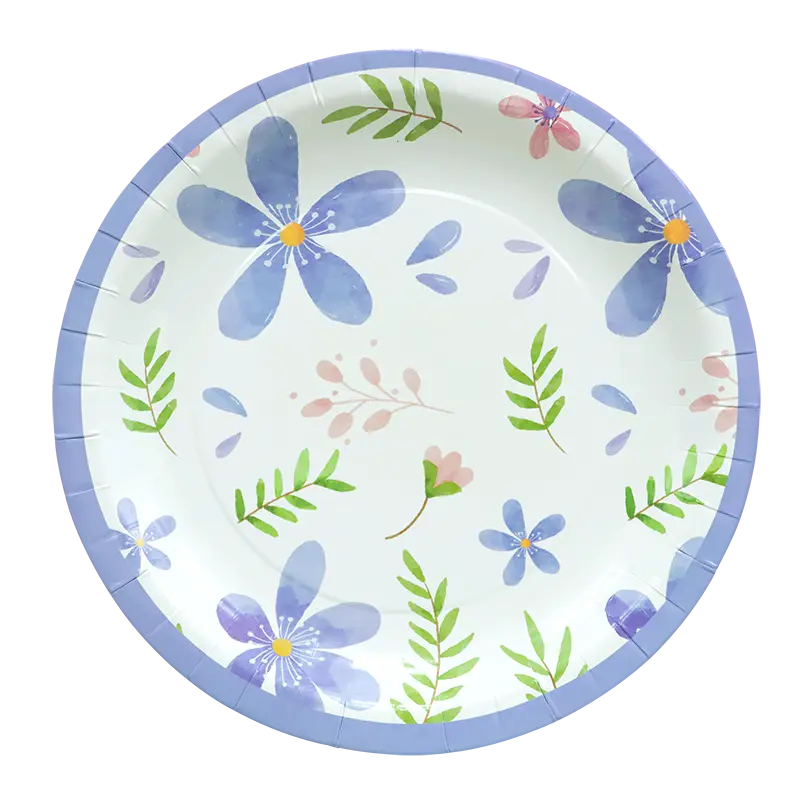 Assiettes en carton colorées