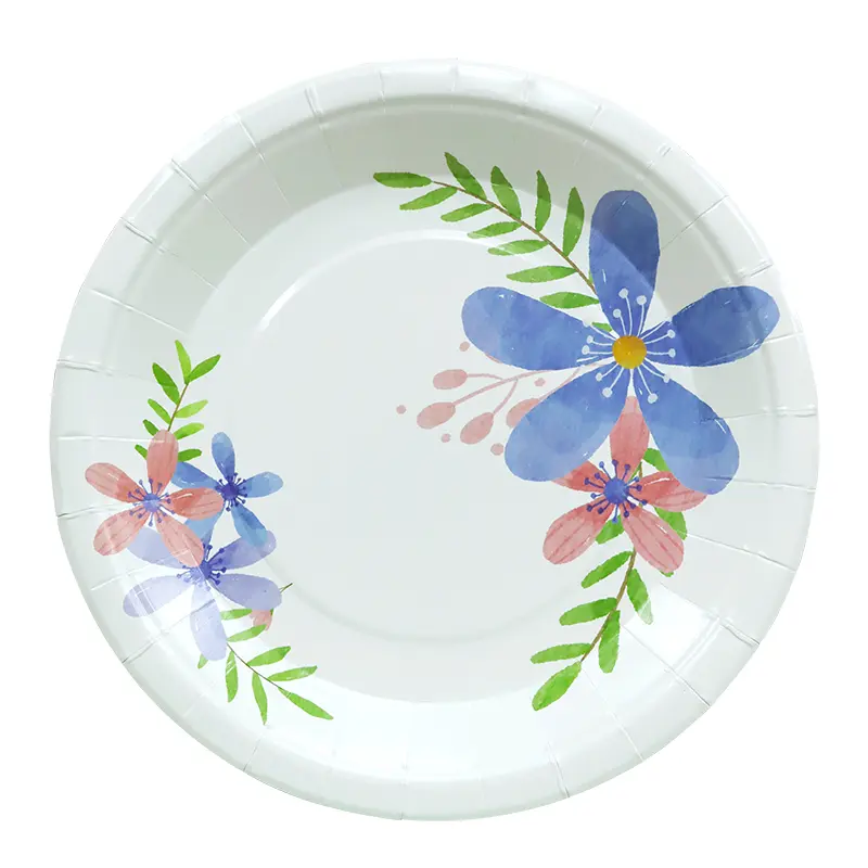 Assiettes en papier de stratification